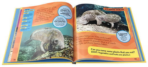 英文原版 美国国家地理少儿百科 Little Kids First Big Book of the Ocean启蒙5-6-7-8-9-10岁儿童认知海洋动物科普精装大开本 商品图2