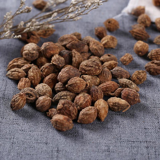 褚药cy益智仁海南益智仁盐益智仁泡茶泡酒