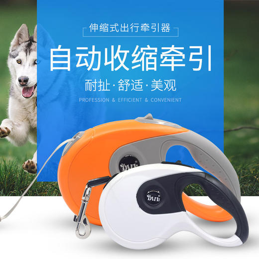 DILL自动伸缩牵引绳 狗狗牵引器 中小型犬用 3米、5米 防爆冲 商品图2
