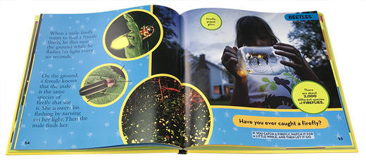 英文原版Little Kids First Big Book of Bugs 昆虫儿童百科普 商品图2