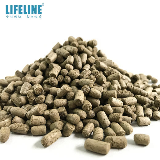 龙猫主粮900g 商品图5