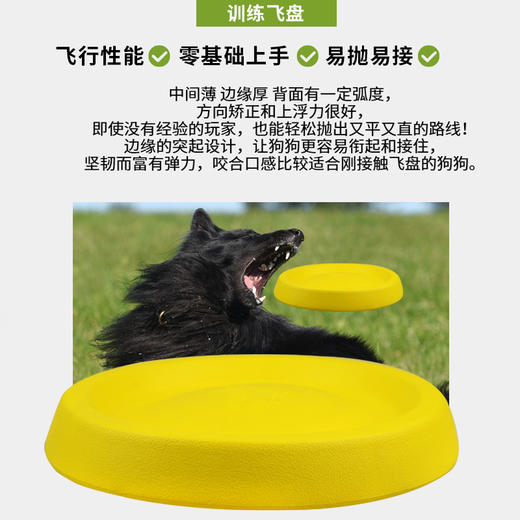 EVA 飞盘 宠物户外互动玩具 耐咬【拍组合装更划算】 商品图3