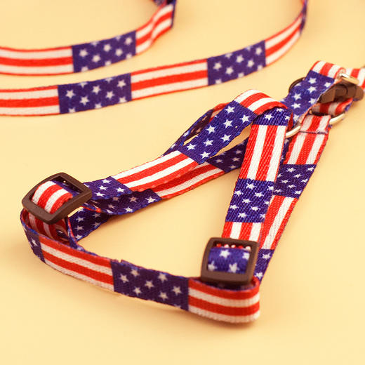 印花牵引绳 宠物狗狗猫咪牵引带胸背绳子 商品图3