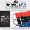 泡棉脖圈项圈 3色 宠物项圈 商品缩略图3