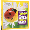 英文原版Little Kids First Big Book of Bugs 昆虫儿童百科普 商品缩略图0
