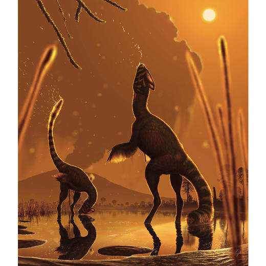 《古兽横行》 真实再现令人震撼的史前世界 10-100岁 读小库 自然科普 古生物艺术 恐龙再现 商品图4