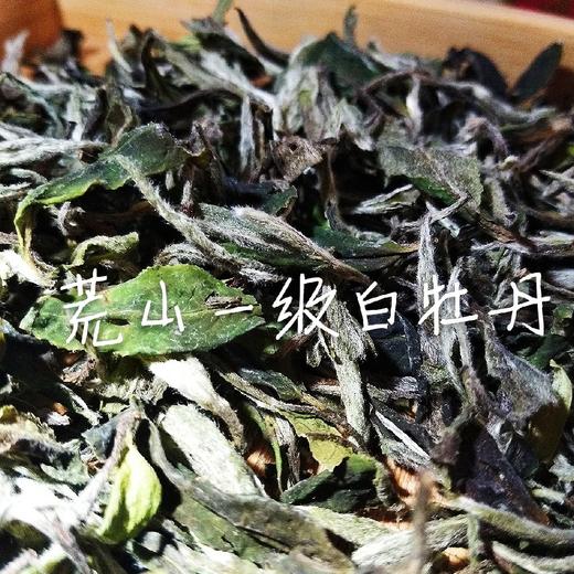 2018荒山一级白牡丹 商品图0