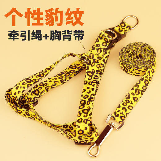 印花牵引绳 宠物狗狗猫咪牵引带胸背绳子 商品图2