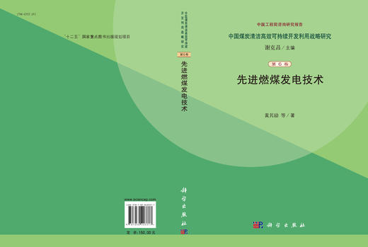 先进燃煤发电技术 商品图3