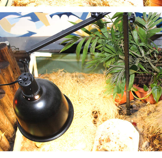 可伸缩落地灯架 商品图5