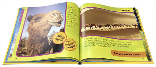 英文原版National Geographic美国国家地理动物百科普Little Kids First Big Book of Animals启蒙4 - 8 岁儿童读物图画故事书 商品图3