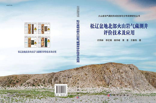 松辽盆地火山岩气藏测井评价技术及应用 商品图3
