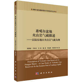 准噶尔盆地火山岩气藏描述：以陆东地区火山岩气藏为例