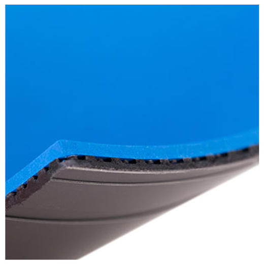 友谊729 奔腾2蓝海绵省队专用套胶蓝海绵粘套胶 商品图4