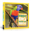 英文原版 National Geographic美国国家地理Little Kids First Big Book of Birds儿童百科 精装大开本 启蒙5-7-10岁儿童读物阅读 商品缩略图0