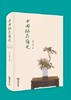 中国插花简史 商品缩略图2