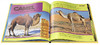 英文原版National Geographic美国国家地理动物百科普Little Kids First Big Book of Animals启蒙4 - 8 岁儿童读物图画故事书 商品缩略图2