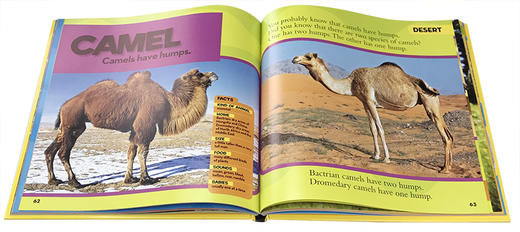 英文原版National Geographic美国国家地理动物百科普Little Kids First Big Book of Animals启蒙4 - 8 岁儿童读物图画故事书 商品图2