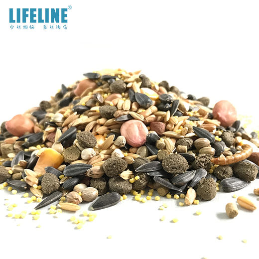 仓鼠主粮900克 商品图5