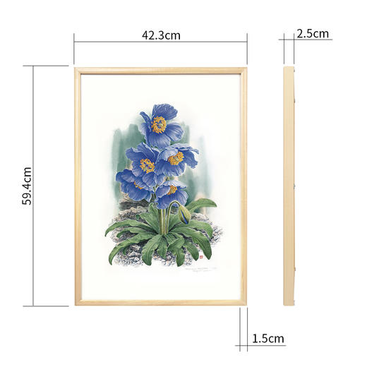 曾孝濂《花叶》植物艺术画 已装画框 可直接上墙 办公居家装饰 商品图2