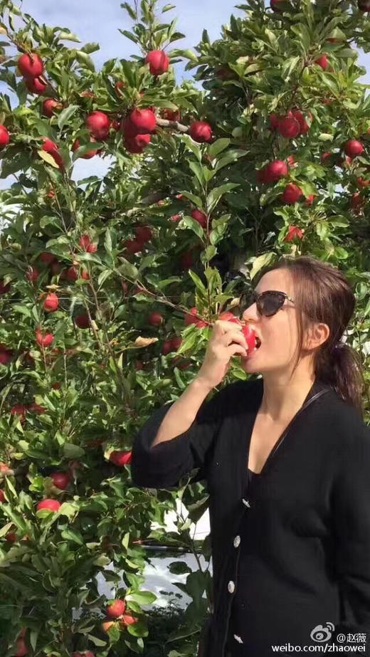 新西兰Rockit樱桃小苹果🍎——外形迷你，红艳可人，脆甜可口 商品图7