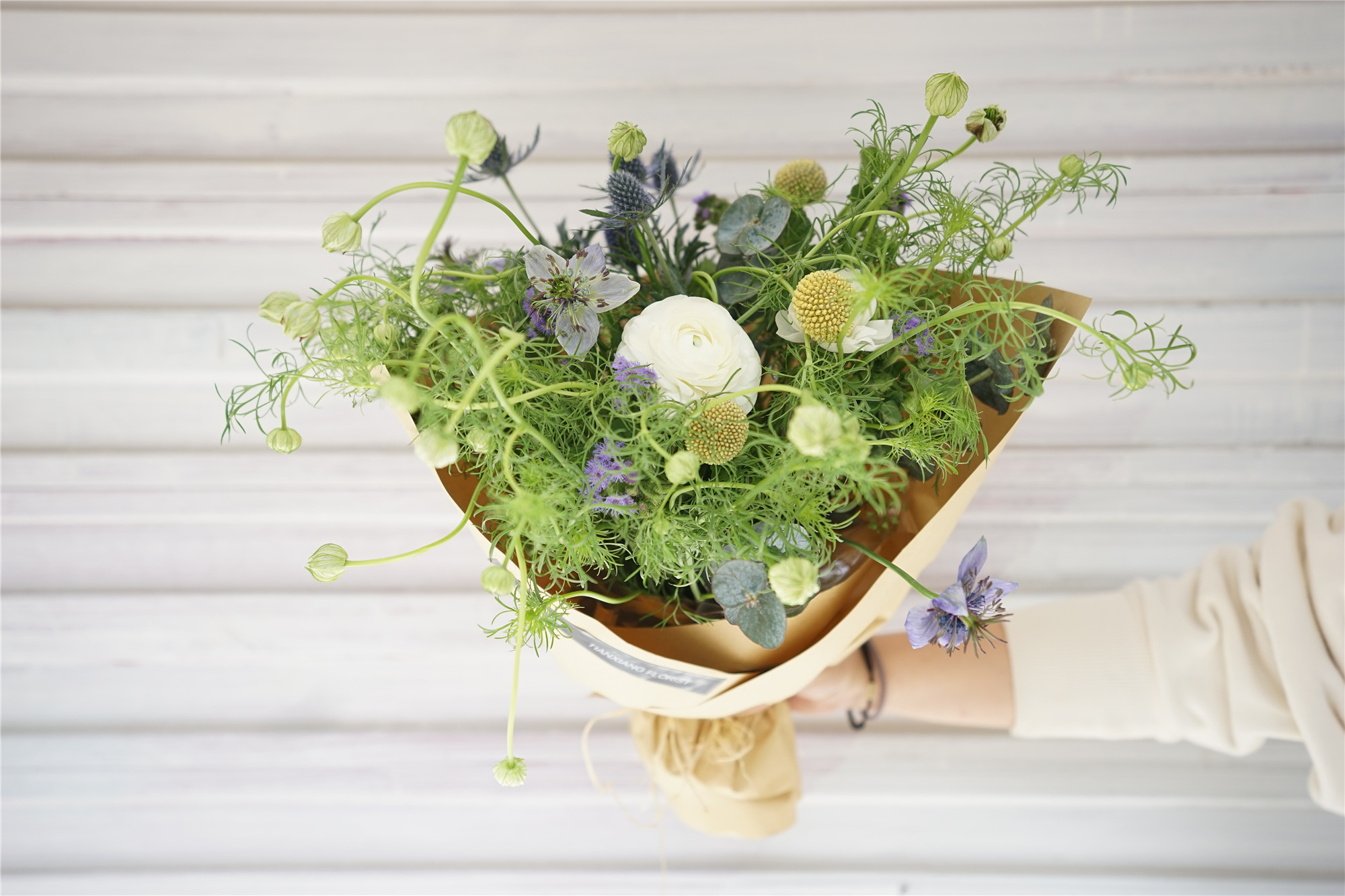 春日简花黑种草