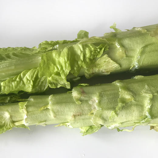 莴笋 商品图0