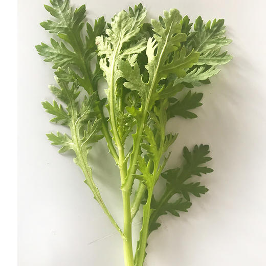 小叶茼蒿菜 商品图1