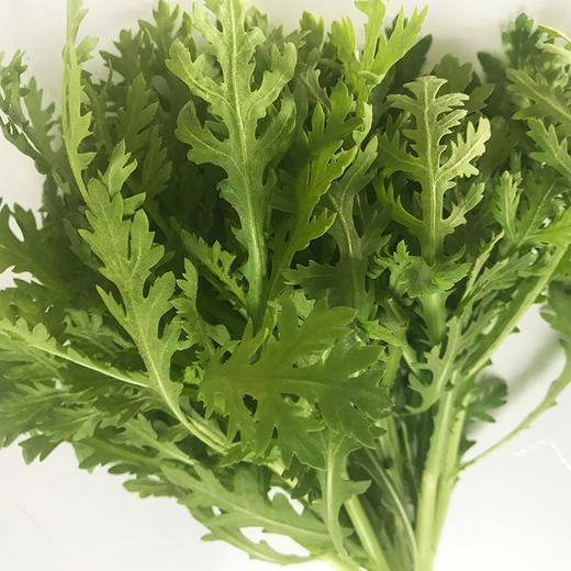 小叶茼蒿菜 商品图2