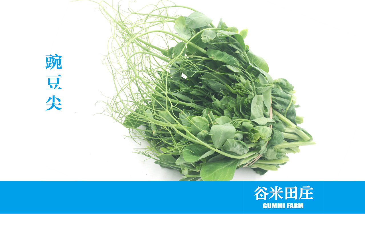 豌豆尖