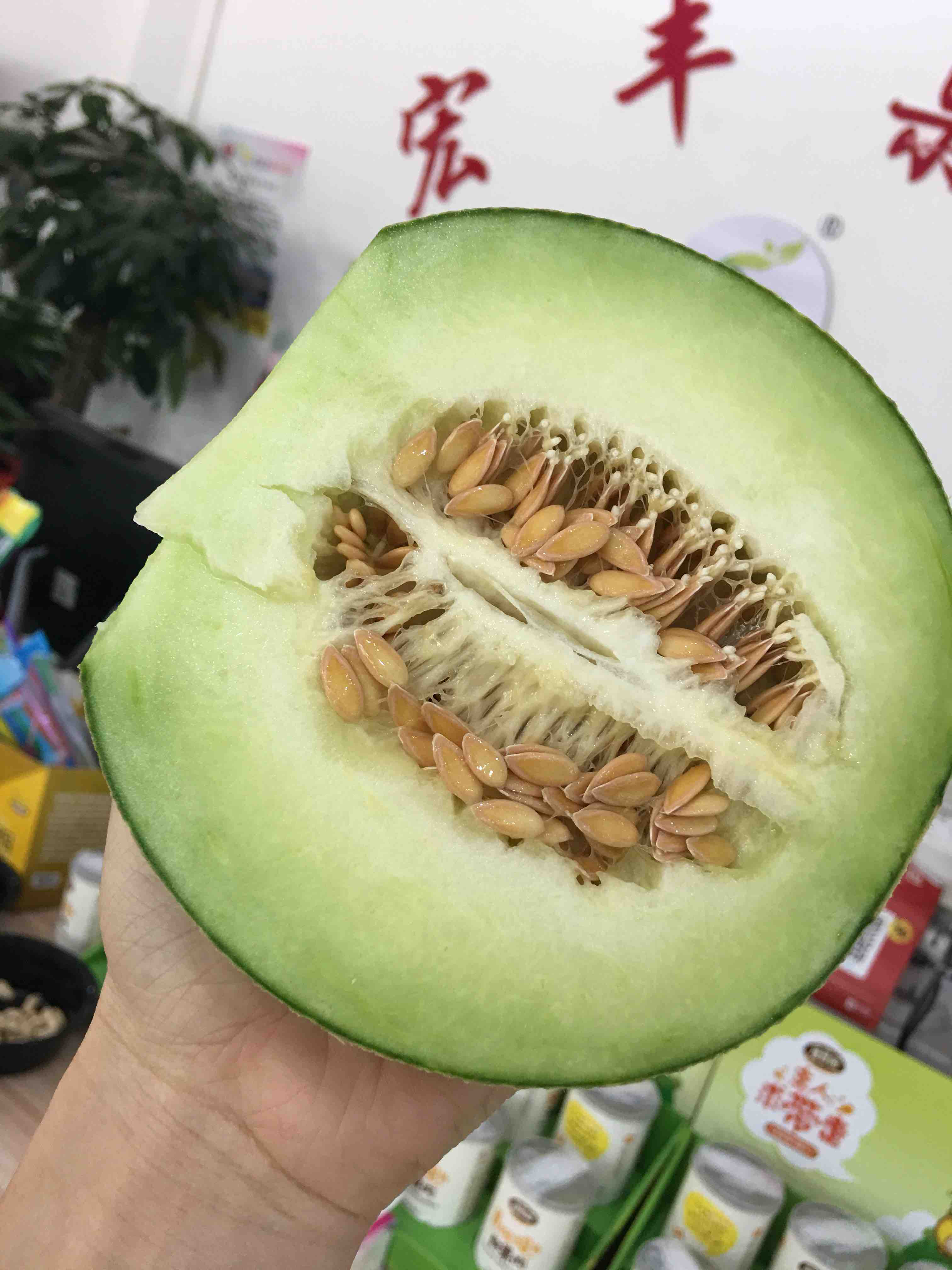 宏丰精选产地直发醇蜜瓜绿肉口感绵甜如蜜活动价68一斤