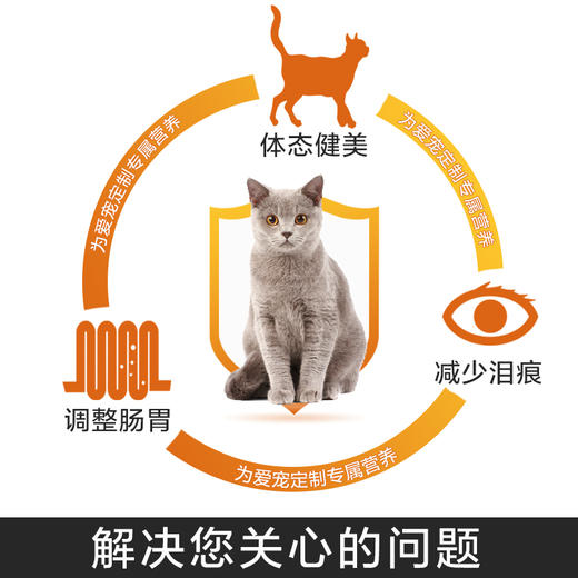 爱优粮倍乐多天然全期猫粮幼猫成猫粮美毛营养低盐粮猫主粮2.5kg 商品图4