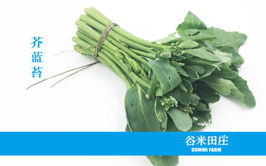 芥蓝苔 商品图0