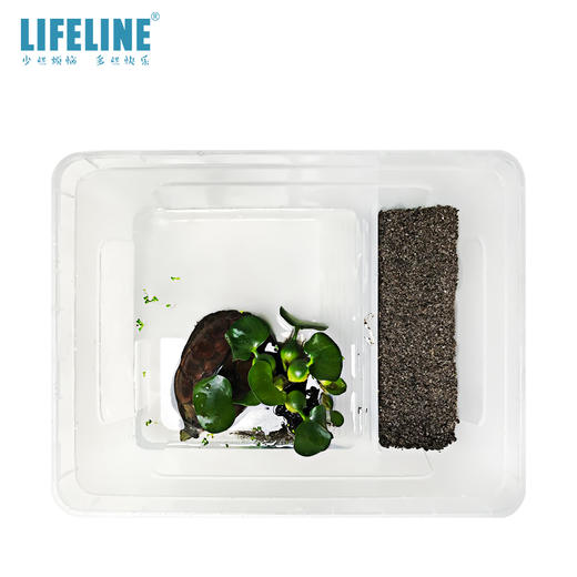 带晒台饲养盒 商品图4