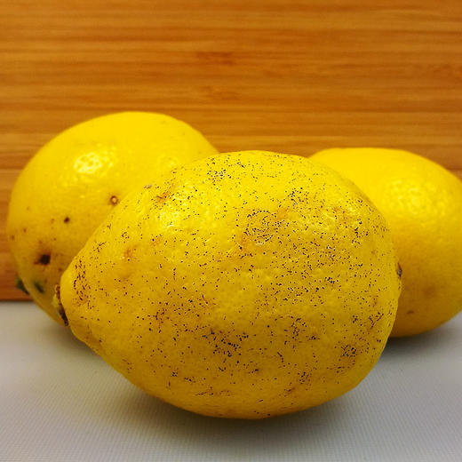 n丑柠檬新鲜度不佳处理品无售后