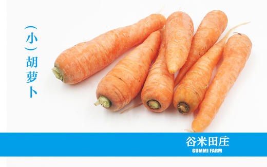 胡萝卜 商品图0