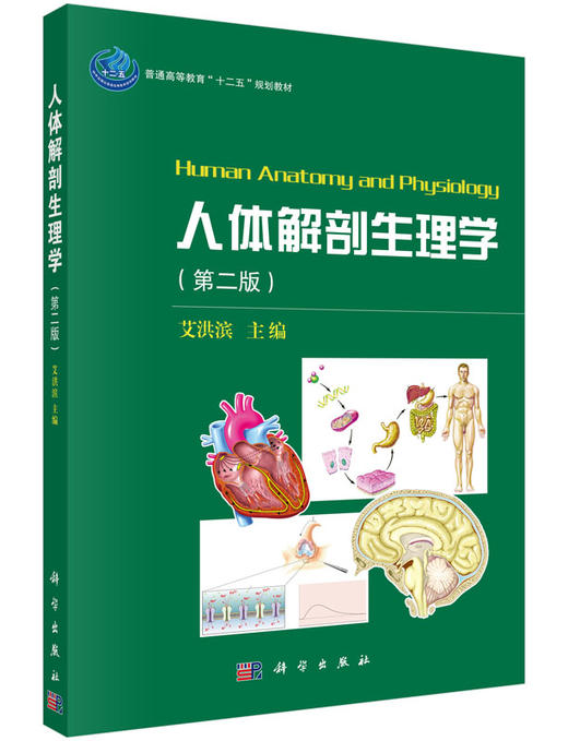 人体解剖生理学（第二版）  艾洪滨 商品图0