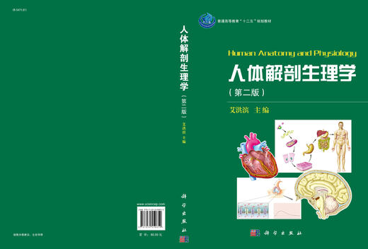 人体解剖生理学（第二版）  艾洪滨 商品图3