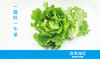 生菜 商品缩略图0