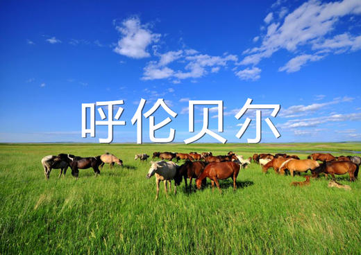 3月25日（越野车）【呼伦贝尔】仲夏呼伦贝尔草原风光、 蒙古族风情，策马奔腾6天摄影 商品图12
