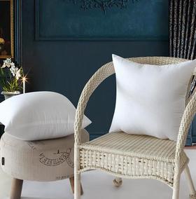 【十字绣家纺】抱枕芯 磨毛布.枕芯pp棉.家纺靠垫芯 十字绣内芯可定制