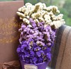 【家纺】*七夕情人节礼物干花勿忘我家纺家饰 家居软饰仿真花永生花绢花602 商品缩略图1