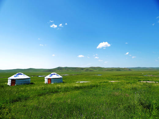 3月25日（越野车）【呼伦贝尔】仲夏呼伦贝尔草原风光、 蒙古族风情，策马奔腾6天摄影 商品图10