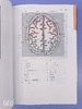 CT与MRI袖珍解剖断层图谱第一卷头颈部 医学影像诊断学 头影测量ct读片ct诊断临床 脑部血管造影术天津科技翻译出版社 商品缩略图6