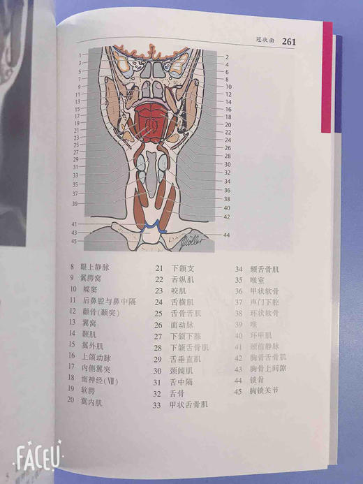 CT与MRI袖珍解剖断层图谱第一卷头颈部 医学影像诊断学 头影测量ct读片ct诊断临床 脑部血管造影术天津科技翻译出版社 商品图4