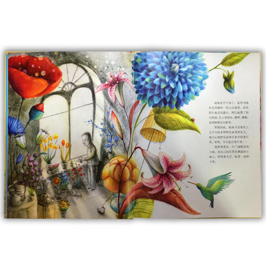 小荷精选图画书 花匠的礼物 正版包邮 商品图1