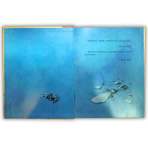 小荷精选图画书 花匠的礼物 正版包邮 商品图2