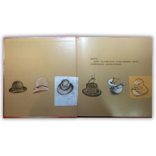 小荷精选图画书 神奇的帽子商店 正版包邮 商品图1