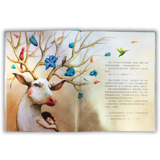 小荷精选图画书 库帕里索斯 正版包邮 商品图1