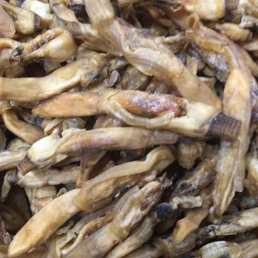 南港渔铺 蛏干500g 商品图0
